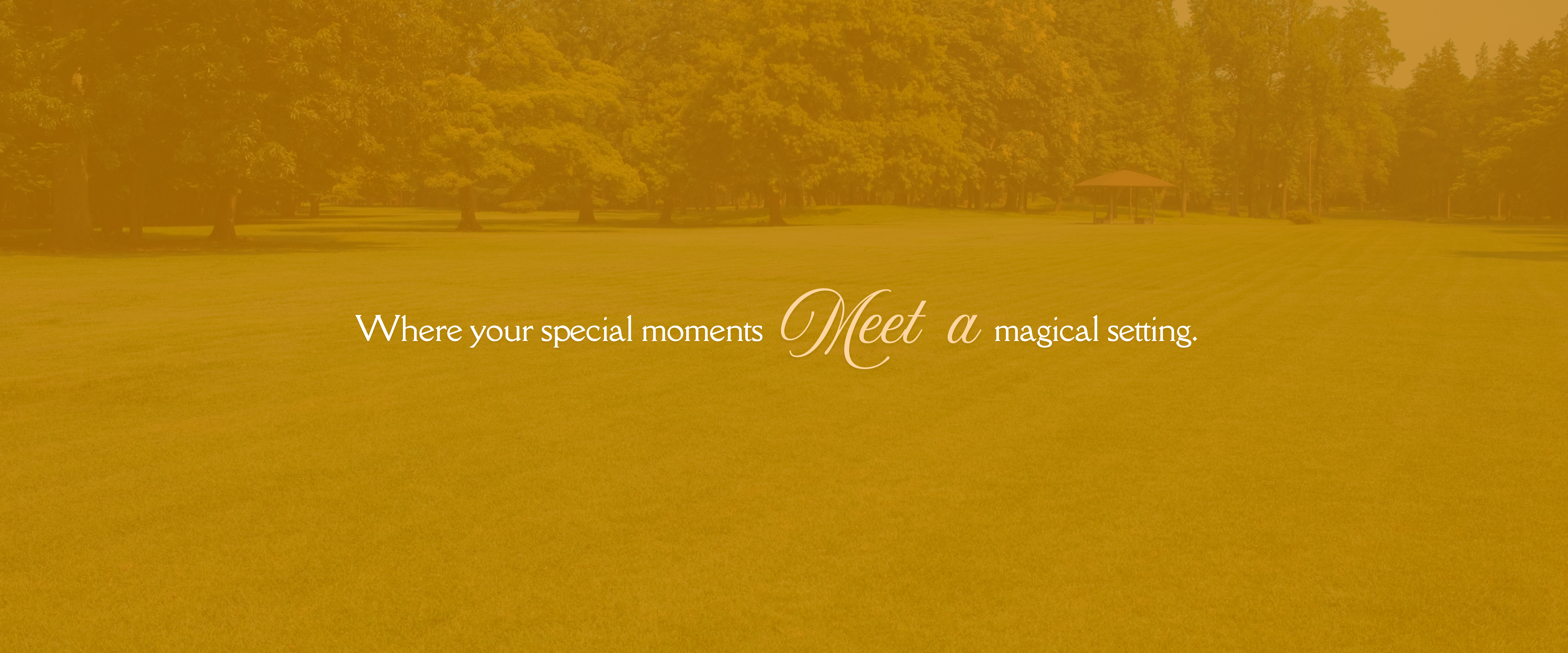 Greyscale Photo-centric Skincare website Banner (1)